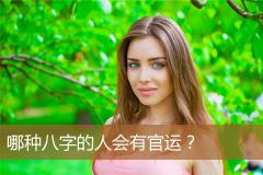 哪种八字的人会有官运?