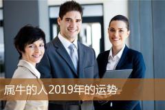 属牛的人2019年的运势