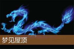 梦见屋顶