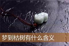 梦到枯树有什么含义