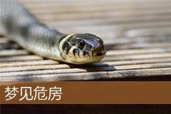 梦见危房