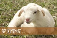 梦见学校