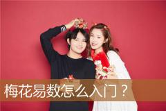 梅花易数怎么入门？