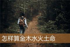 怎样算金木水火土命