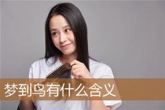 梦到鸟有什么含义