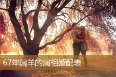 67年属羊的属相婚配表