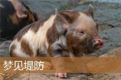 梦见堤防