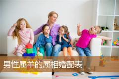 男性属羊的属相婚配表