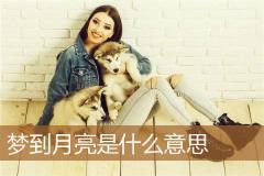 梦到月亮是什么意思