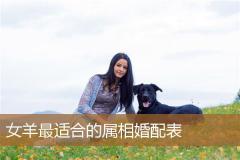 女羊最适合的属相婚配表