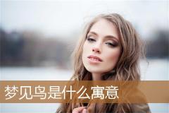 梦见鸟是什么寓意
