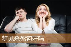 梦见杀死狗好吗