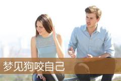 梦见狗咬自己