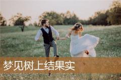 梦见树上结果实