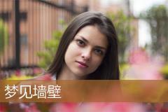 梦见墙壁