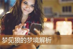 梦见狼的梦境解析