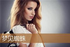 梦见蜘蛛