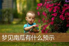 梦见南瓜有什么预示