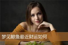 梦见鲸鱼最近财运如何