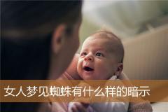 女人梦见蜘蛛有什么样的暗示