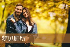 梦见厕所