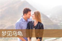 梦见乌龟