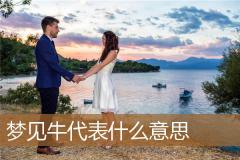梦见牛代表什么意思