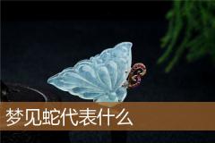 梦见蛇代表什么