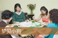 梦见小狗