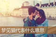梦见猫代表什么意思