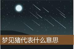梦见猪代表什么意思
