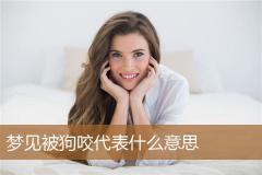 梦见被狗咬代表什么意思