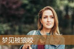 梦见被狼咬