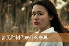 梦见种树代表什么意思
