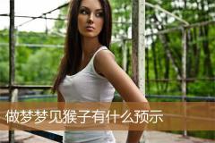 做梦梦见猴子有什么预示