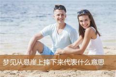 梦见从悬崖上摔下来代表什么意思