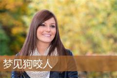 梦见狗咬人