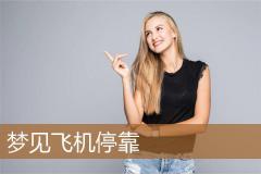 梦见飞机停靠