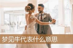 梦见牛代表什么意思