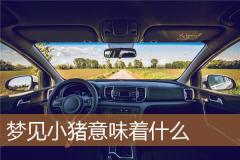 梦见小猪意味着什么