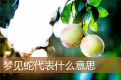 梦见蛇代表什么意思