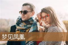 梦见凤凰