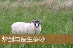 梦到与医生争吵