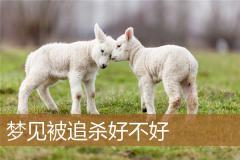 梦见被追杀好不好
