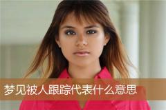 梦见被人跟踪代表什么意思