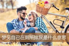 梦见自己在厕所排尿是什么意思