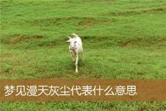 梦见漫天灰尘代表什么意思