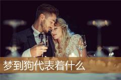 梦到狗代表着什么