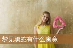 梦见黑蛇有什么寓意