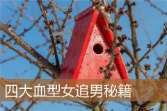 四大血型女追男秘籍